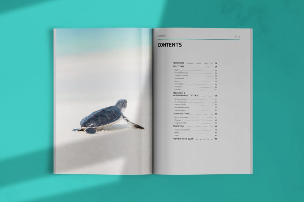 Sea Turtle Conservation Curacao Annual Report Design by Marketing Orchestra - Preview