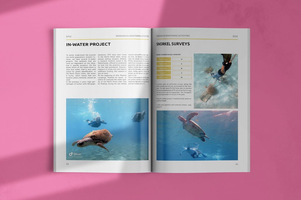 Sea Turtle Conservation Curacao Annual Report Design by Marketing Orchestra - Preview